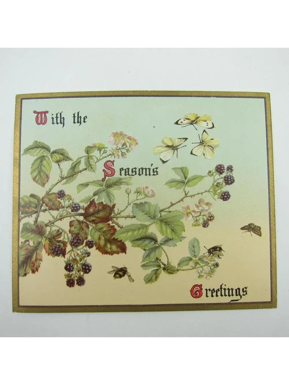 Victorian Greeting Card Raphael Tuck Flowers Blackberries Butterfly Bee Antique